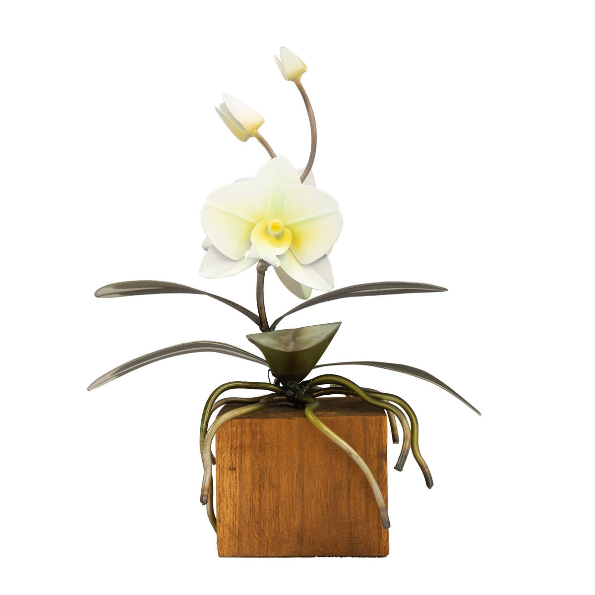 Copper Art - White Phalaenopsis Orchid on a Teak Base
