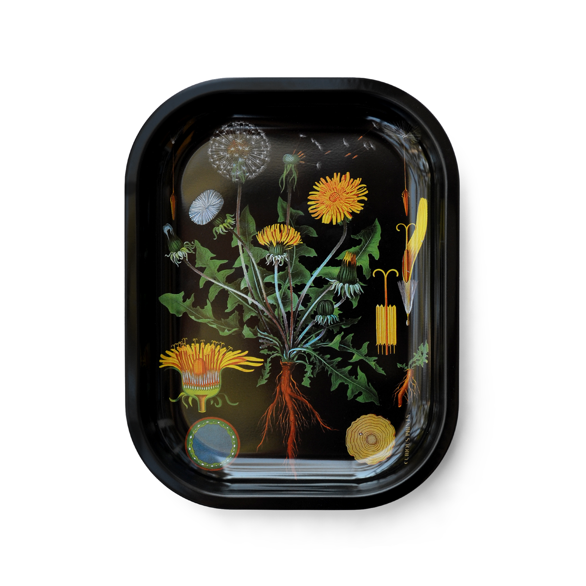 Small Metal Botanical Dandelion Trinket Tray