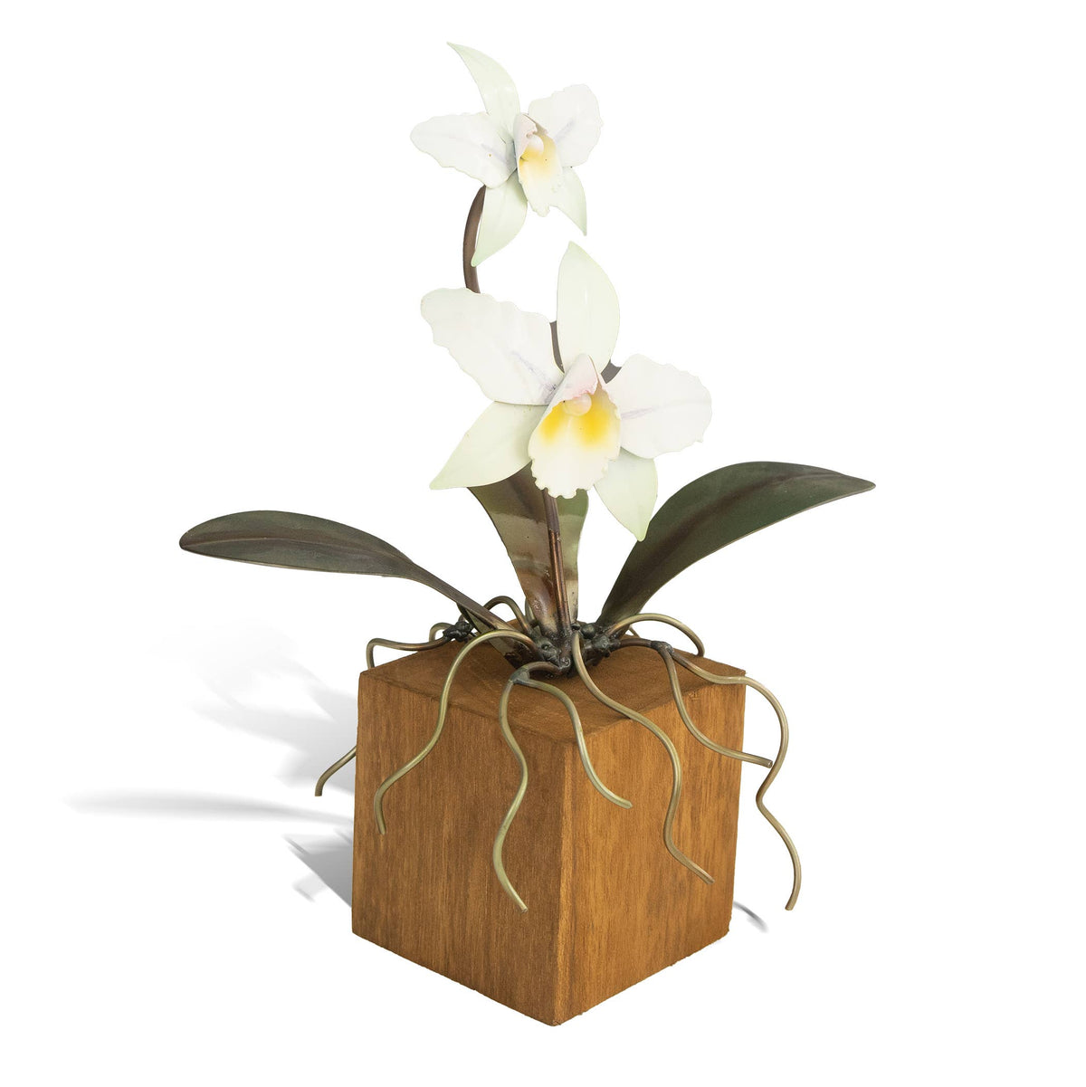 Copper Art - White Cattleya Orchid on a Teak Base
