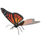 Metal Earth - Monarch-Butterfly - COLOR
