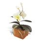 Copper Art - White Phalaenopsis Orchid on a Teak Base