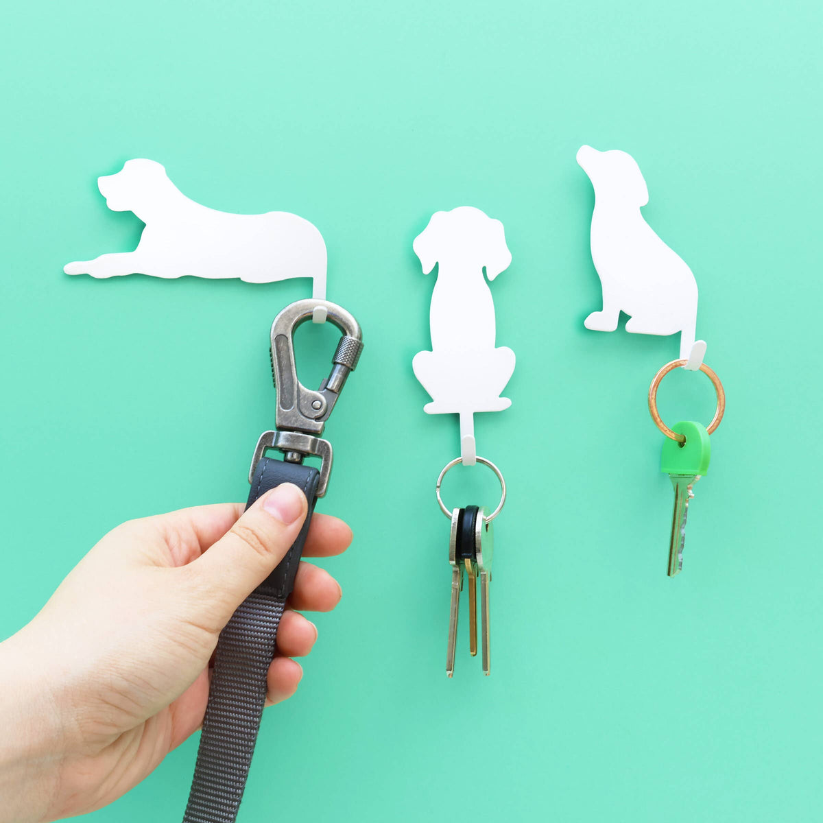SUCK UK Ltd - USA - Dog Wall Hooks – Hang your stuff on their tails