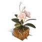 Copper Art - Phalaenopsis Pink and White Orchid on a Teak Base