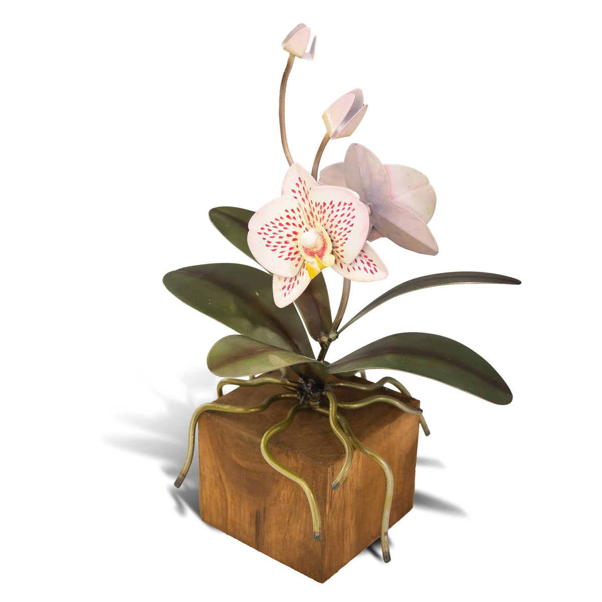 Copper Art - Phalaenopsis Pink and White Orchid on a Teak Base