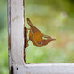 Elegant Garden Design - Nuthatch Tab