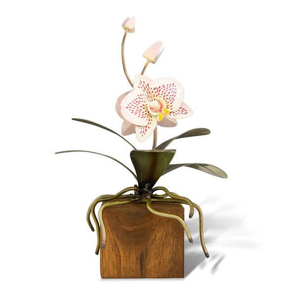 Copper Art - Phalaenopsis Pink and White Orchid on a Teak Base
