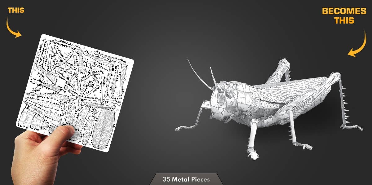 Metal Earth - Metal Earth Grasshopper