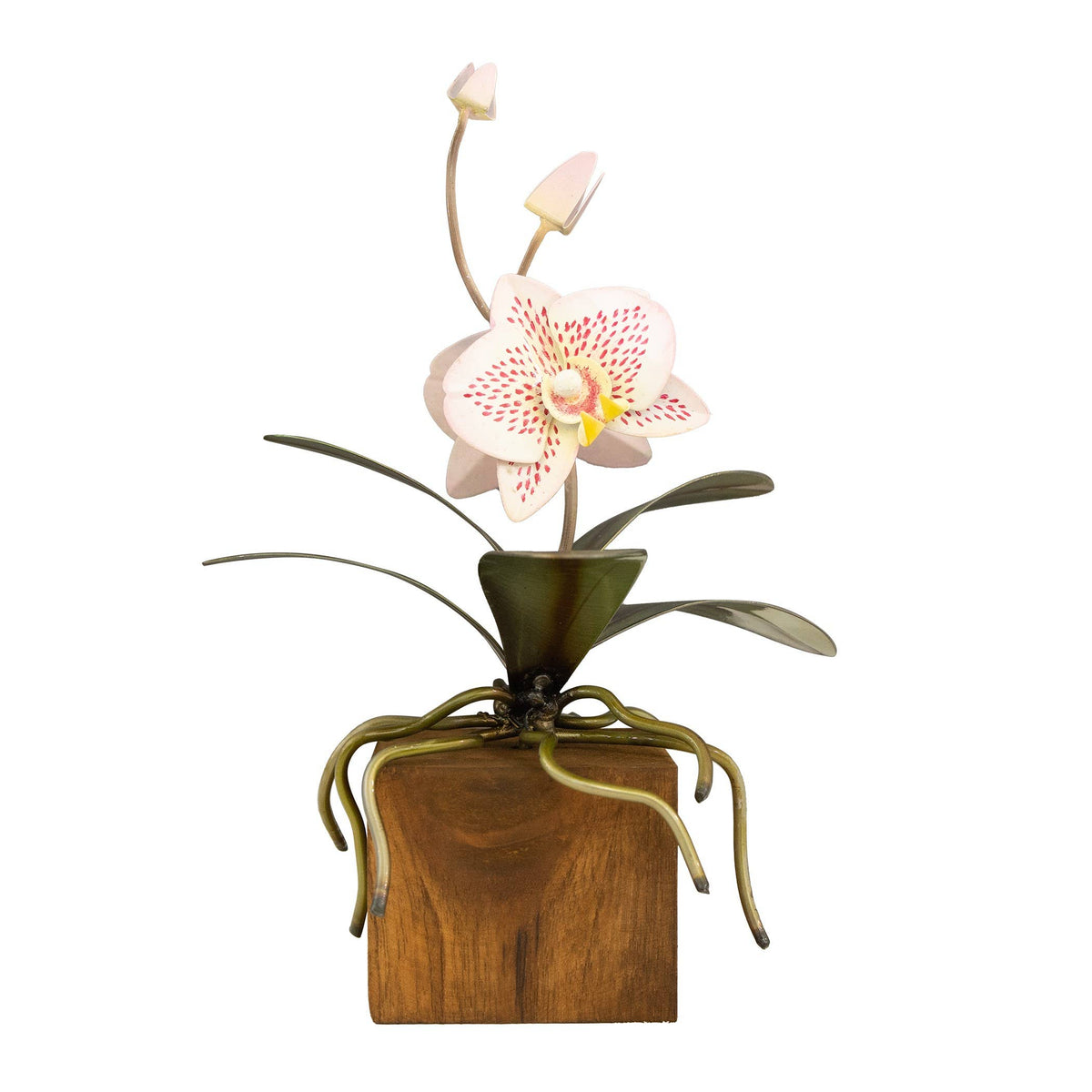 Copper Art - Phalaenopsis Pink and White Orchid on a Teak Base