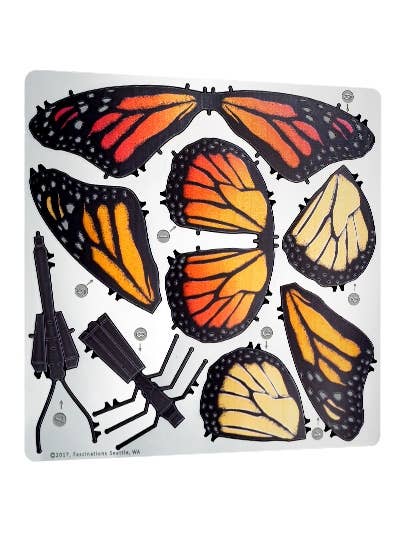 Metal Earth - Monarch-Butterfly - COLOR