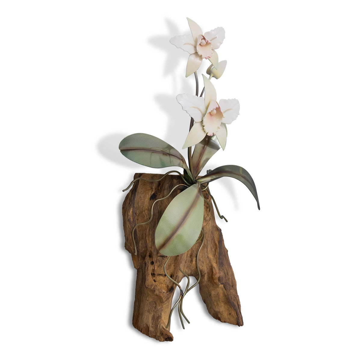 Copper Art -White Cattelya Orchid on Teak, Wall Piece