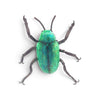 Charity Hall: Daniel, the Green Beetle Brooch
