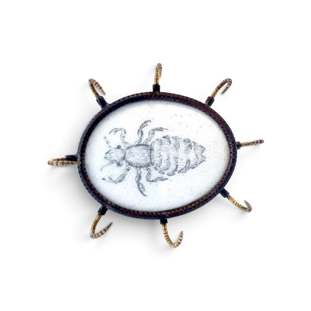 Charity Hall: Mammal Louse Brooch