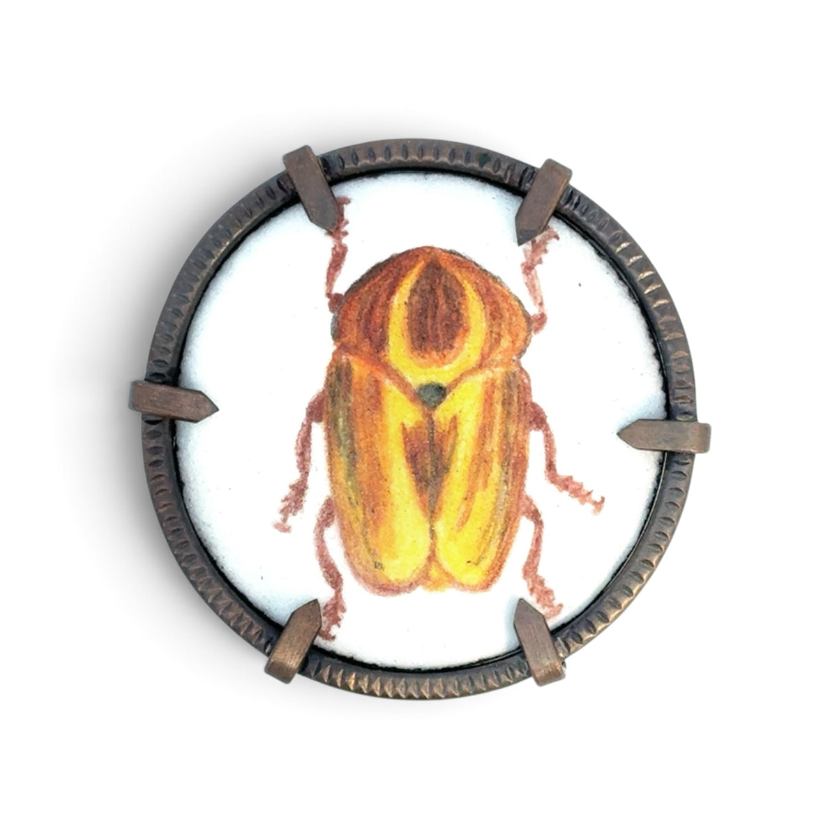 Charity Hall: Yellow / Brown Beetle Brooch