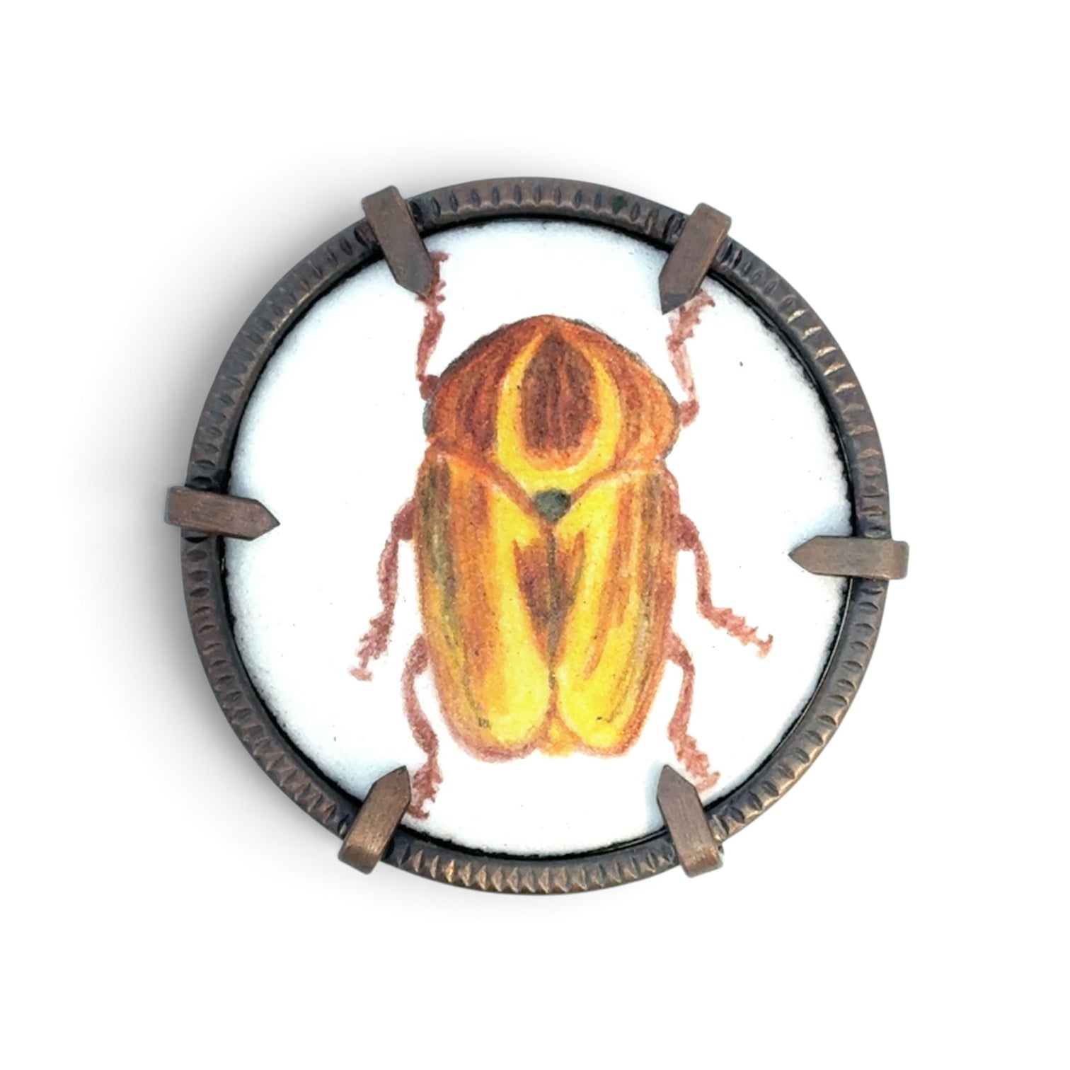 Charity Hall: Yellow / Brown Beetle Brooch
