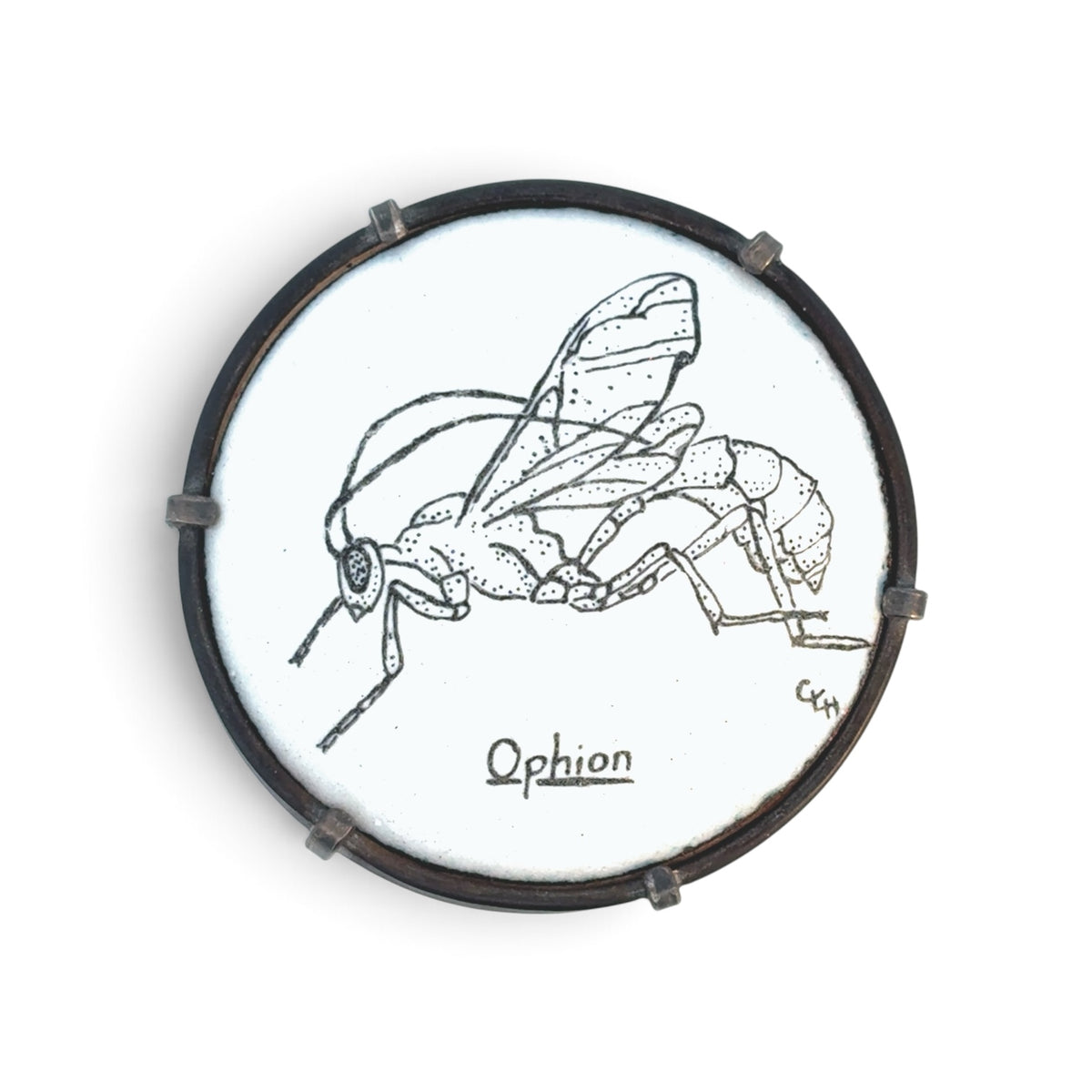 Charity Hall: Opion Brooch