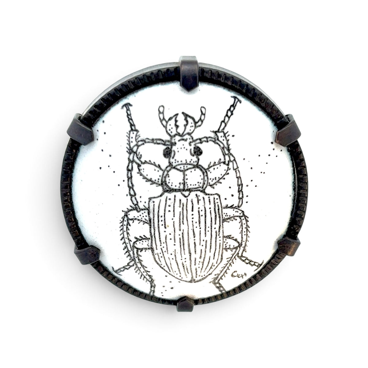 Charity Hall: Ground Beetle Brooch