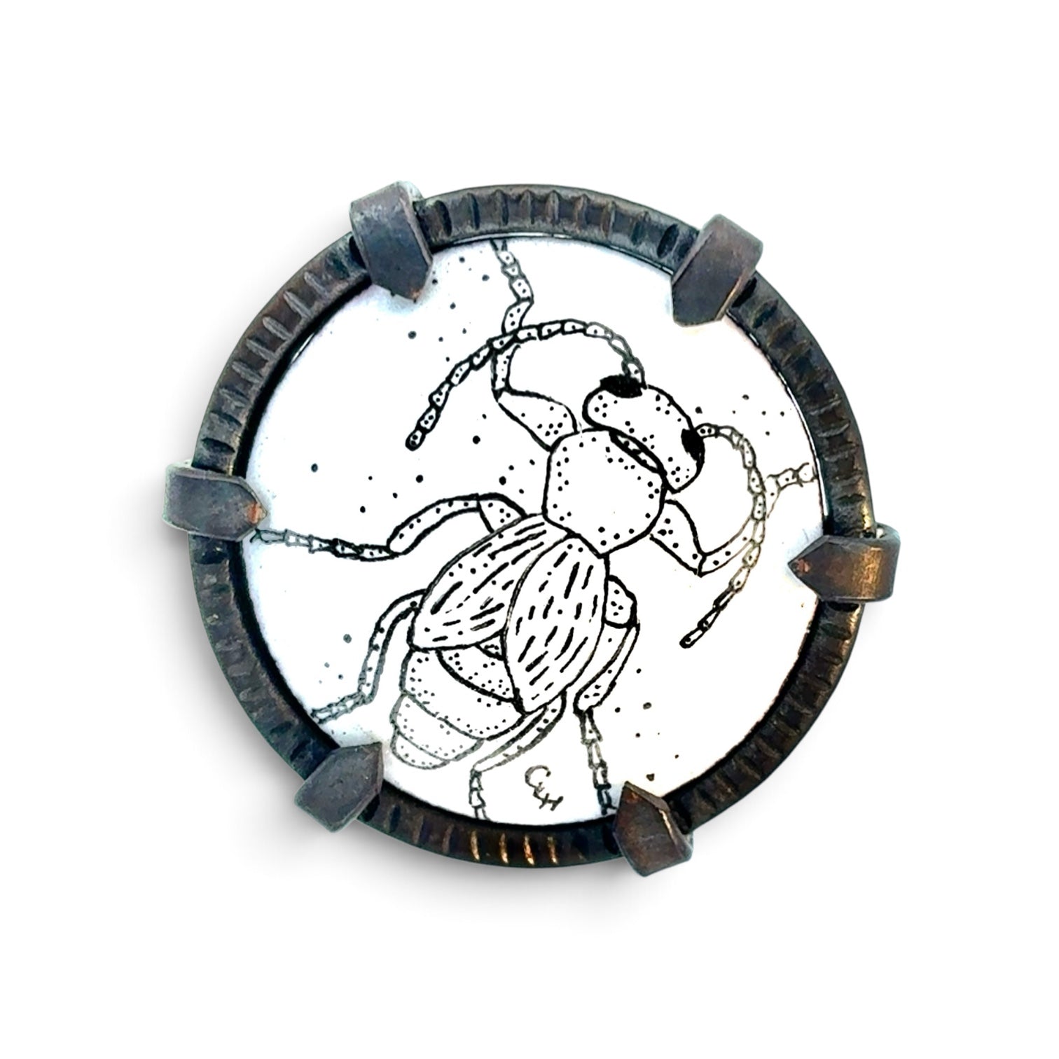 Charity Hall: Meloe Brooch