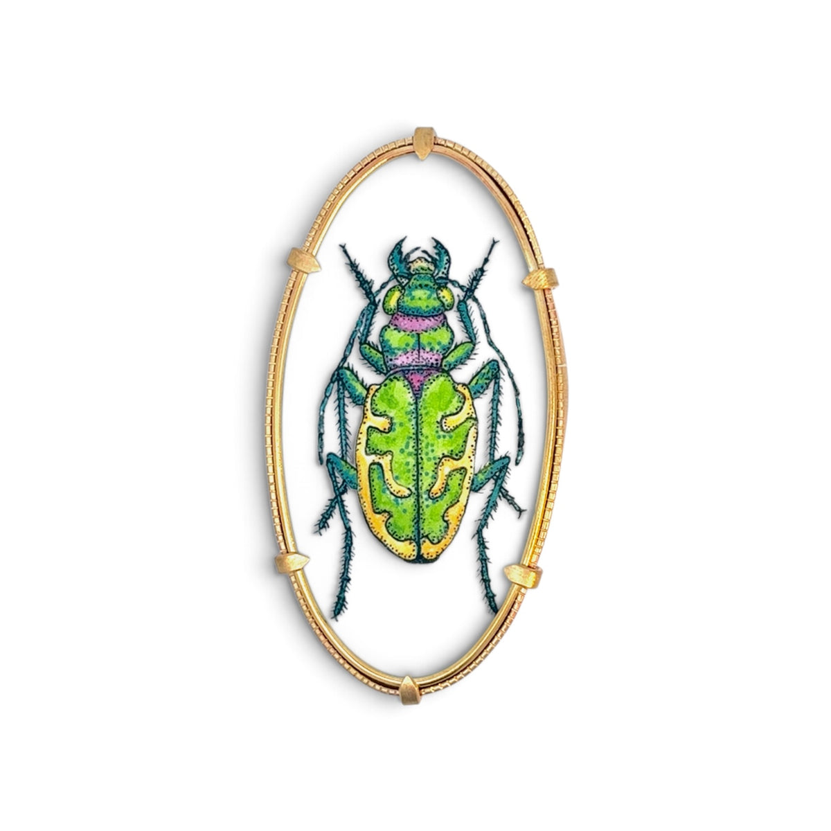Charity Hall: Beetle Sp. Nova Brooch
