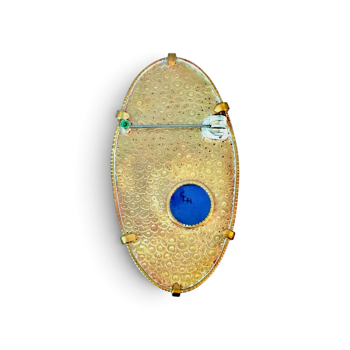 Charity Hall: Beetle Sp. Nova Brooch