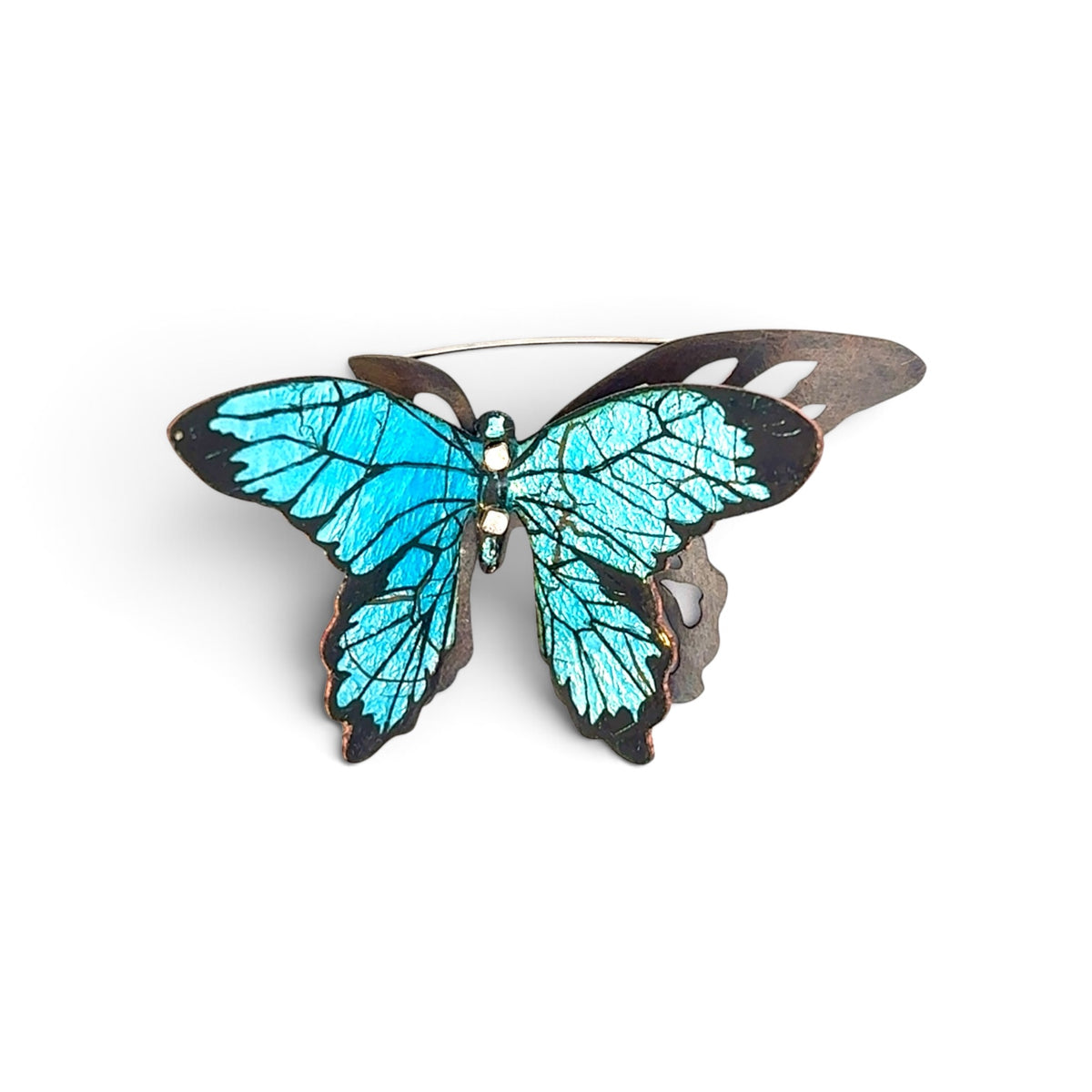 Charity Hall: Blue Morpho