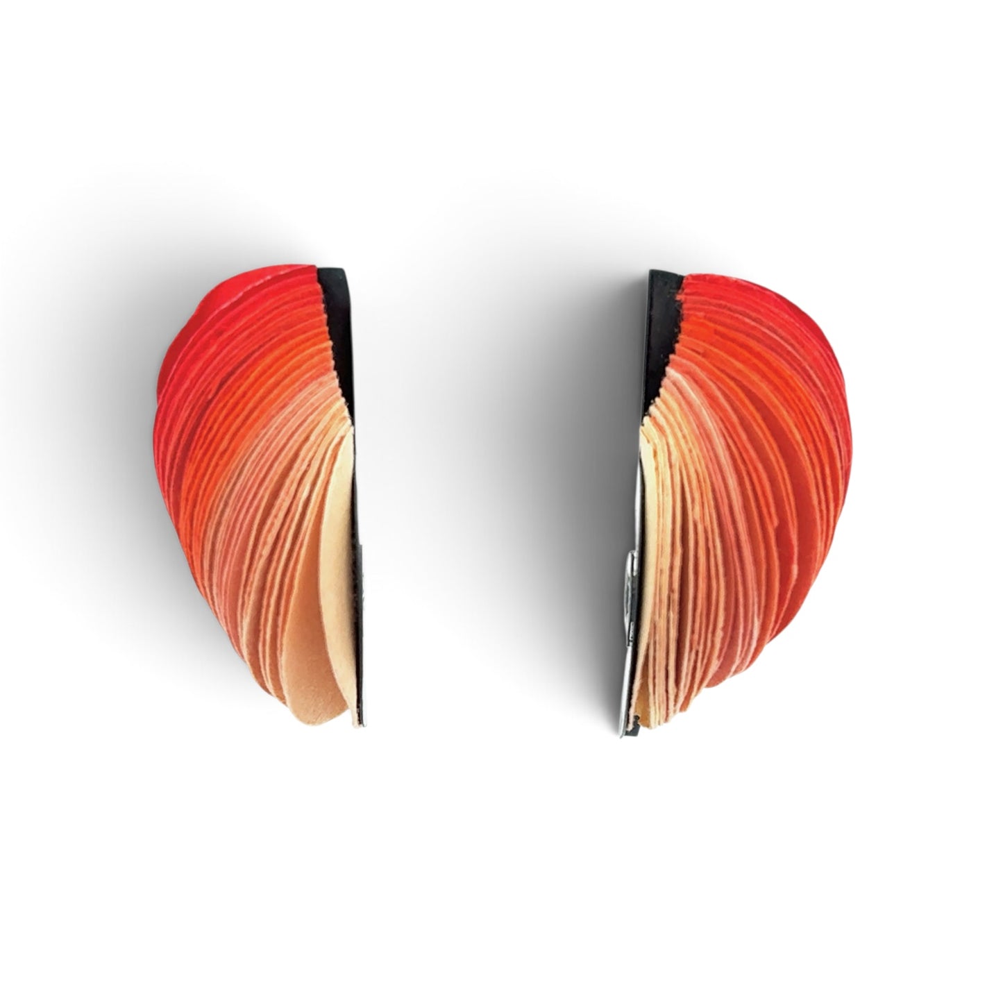 Naoko Yoshizawa: Orange, Rolled Shell Earrings