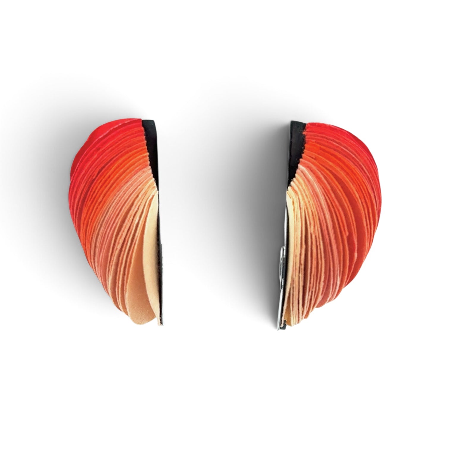 Naoko Yoshizawa: Orange, Rolled Shell Earrings