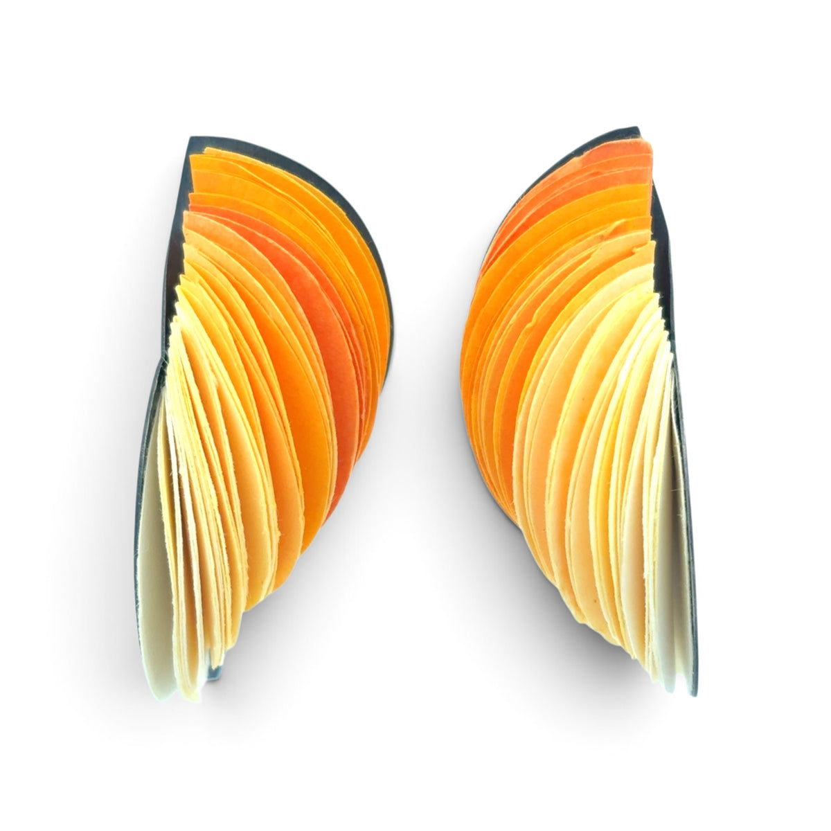 Naoko Yoshizawa: Yellow, Rolled Shell Earrings