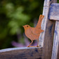 Elegant Garden Design - Baby Robin Tab