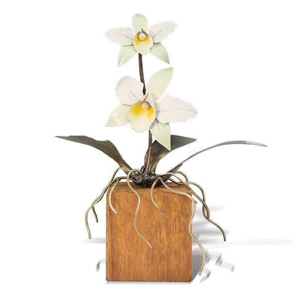 Copper Art - White Cattleya Orchid on a Teak Base
