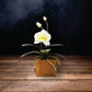Copper Art - White Phalaenopsis Orchid on a Teak Base