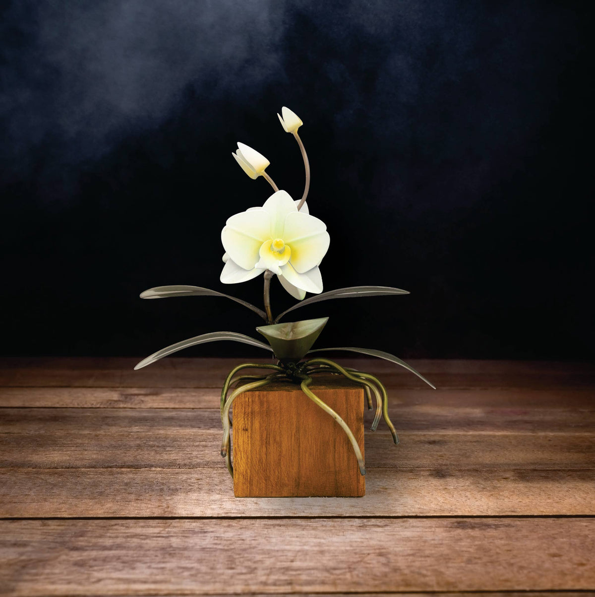 Copper Art - White Phalaenopsis Orchid on a Teak Base