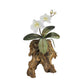 Copper Art - White Phaleanopsis Orchid on a Teak Wood Base, Wall Piece