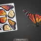 Metal Earth - Monarch-Butterfly - COLOR