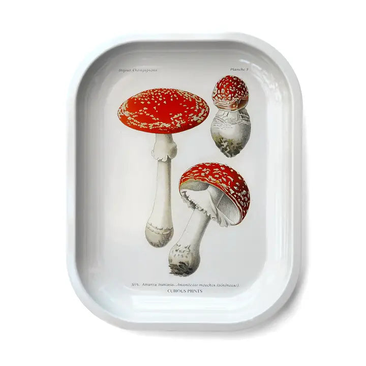 Curious Prints: Metal Mushroom Tray