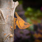 Elegant Garden Design - Nuthatch Tab