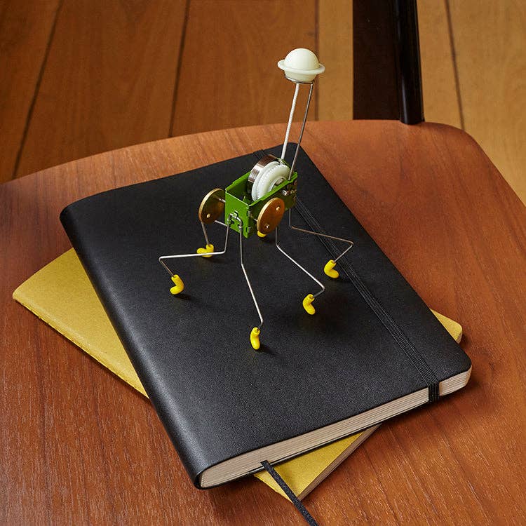 Kikkerland Design Inc - Oahaca Wind Up