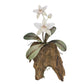 Copper Art -White Cattelya Orchid on Teak, Wall Piece