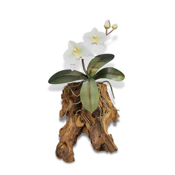 Copper Art - White Phaleanopsis Orchid on a Teak Wood Base, Wall Piece