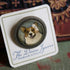 The Divine iguana : Corgy Brooch