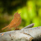 Elegant Garden Design - Singing Warbler Tab Regular