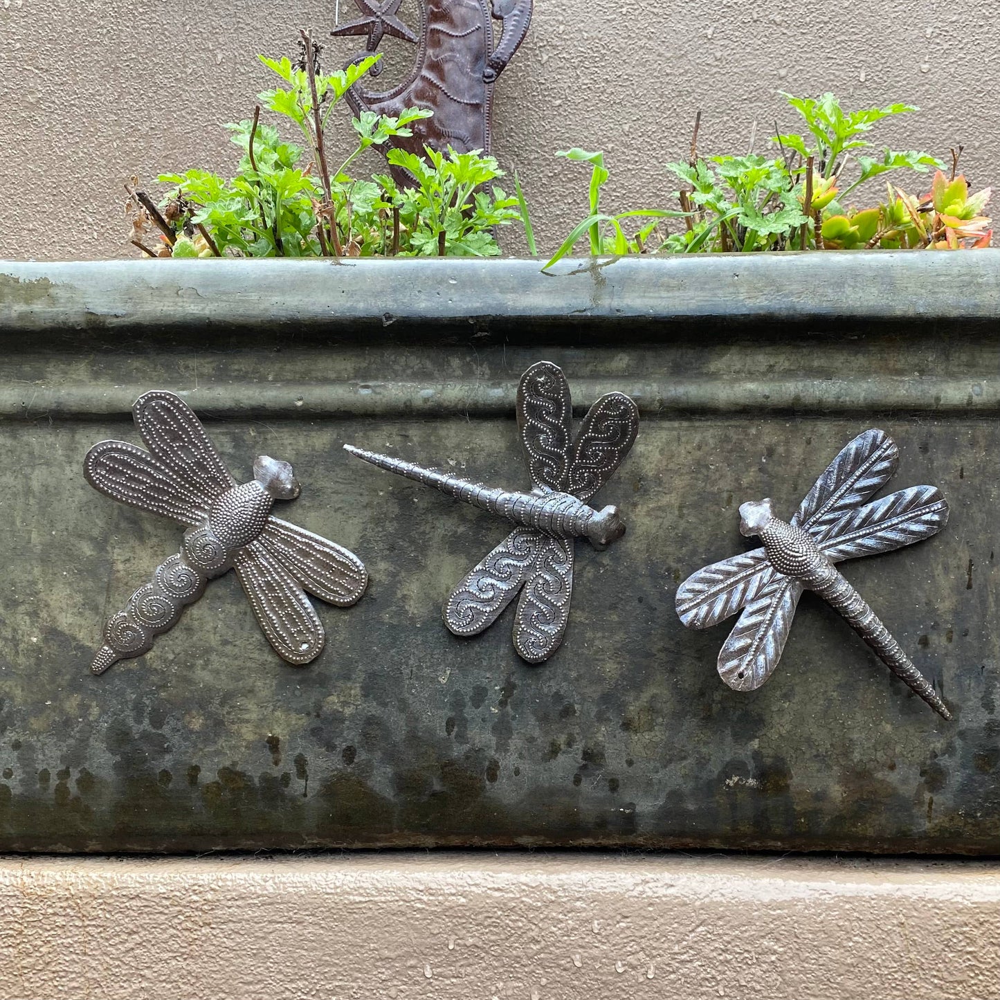 Haiti Fair Trade~ It's Cactus - 6" Metal Dragonfly Garden Art, Haiti Fair Trade Set of 3 Regular