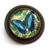 The Divine Iguana: Blue Swallowtail Butterfly Brooch