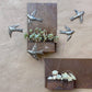 Haiti Fair Trade~ It's Cactus - Set of 5 Birds , Garden Home Decor, Metal Plaques 6" Regular