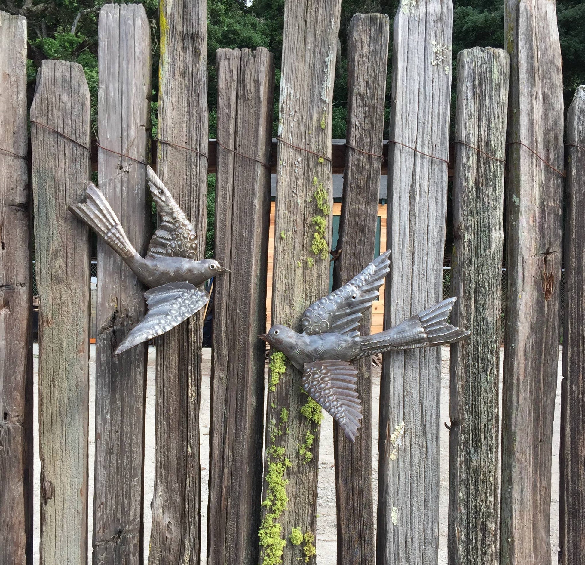 Haiti Fair Trade~ It's Cactus - 13" Set/2 Large Birds, $11 ea. 3D Wings, Home Garden Plaques Regular