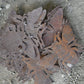 Haiti Fair Trade~ It's Cactus - 6" Metal Bee Garden Art Set of 2 Recycled Fair Trade Haiti Regular