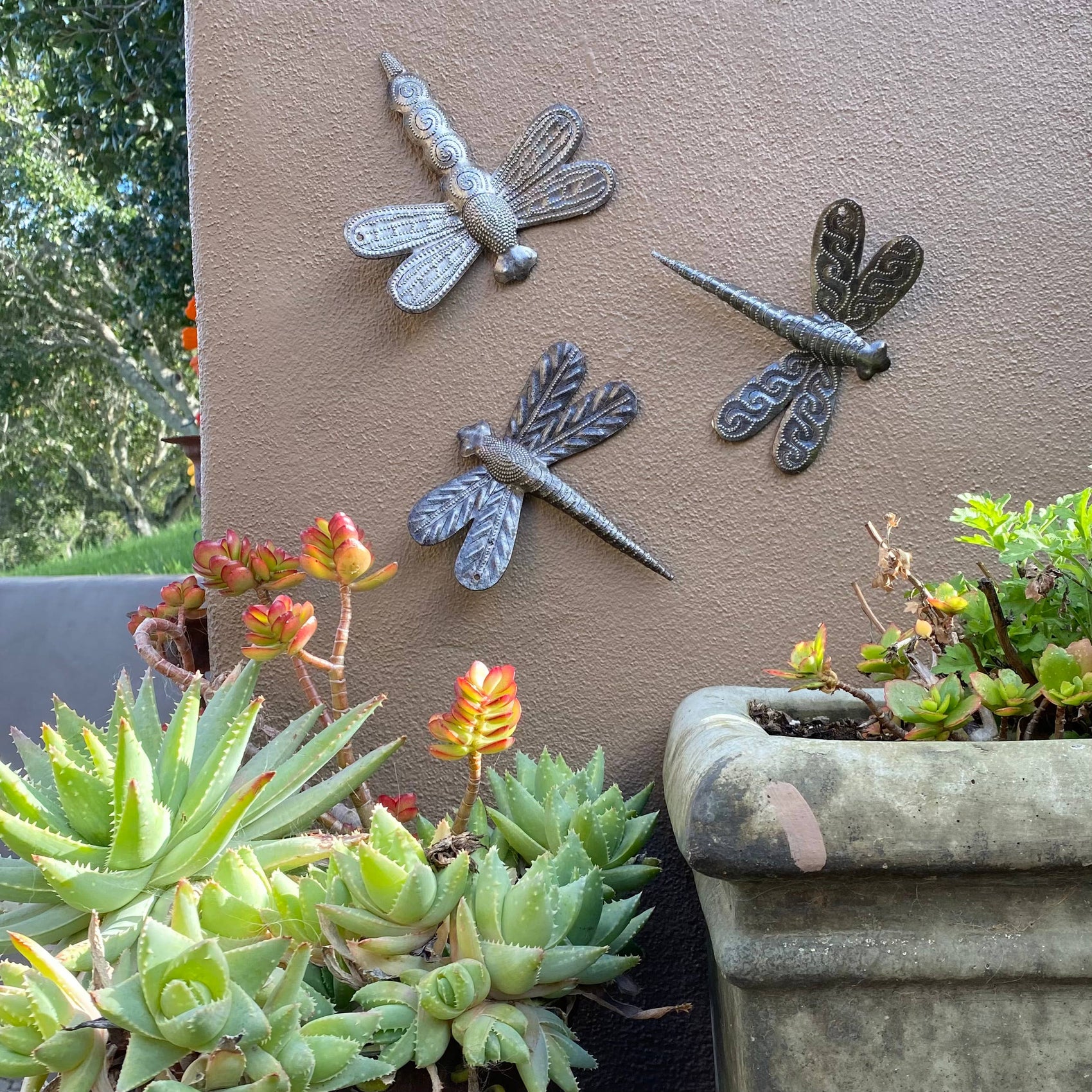 Haiti Fair Trade~ It's Cactus - 6" Metal Dragonfly Garden Art, Haiti Fair Trade Set of 3