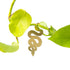 Another Studio for Design: Plant Animal Snake