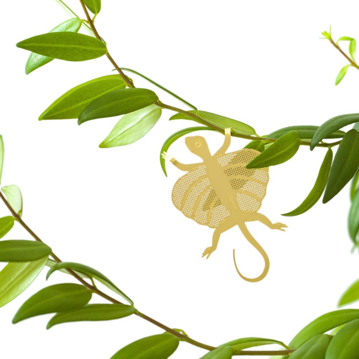 Another Studio for Design: Plant Animal Flying Lizard