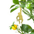 Another Studio for Design: Plant Animal Chimpanzee